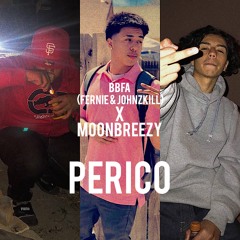 PERICO (FERNIE & JOHNZKILL x MOONBREEZY)