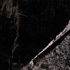 Contrary Constants (Unfinished)