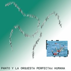Panto y la Orquesta Perfecta% Humana - ?? LP