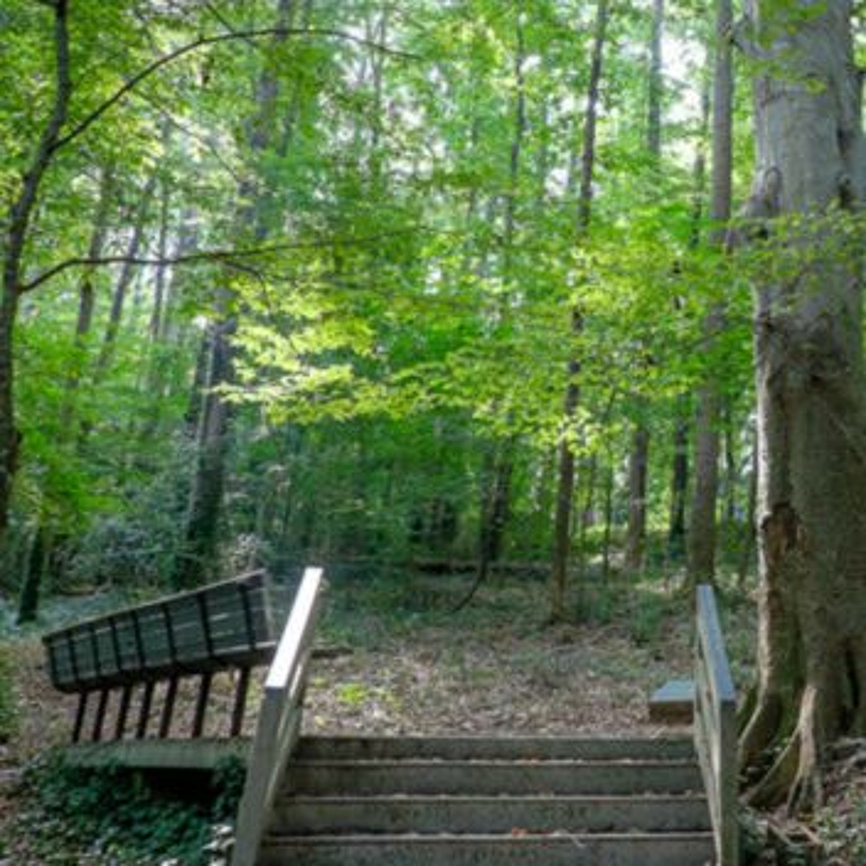 Neighborhoods: South River Park in Southeast Atlanta episode artwork