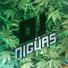 Dj Niguas Fyah mixtape (OLD SCHOOL)