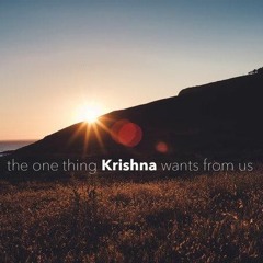 The One Thing Krishna Wants From Us - Giri Govardhan Das