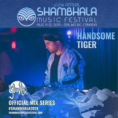 Shambhala Mix Series 2019 - Handsome Tiger