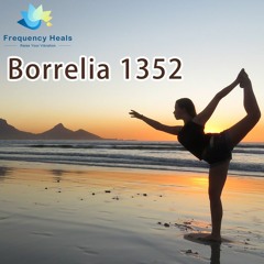 Frequency Heals - Borrelia 1352 (XTRA)