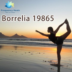 Frequency Heals - Borrelia 19865 (XTRA)
