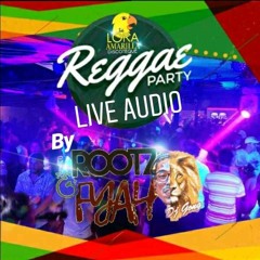 Lora Amarilla  ROOTZ&FYAH