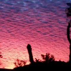 Sunday Sunrise Super Juice Set with Live Flute & Harmonica