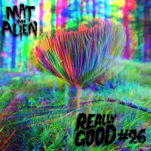 Mat The Alien & Self Evident - Run Off - R.G.R. #26