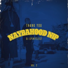 Dj Spintelect Thank You, Naybahood Nip Pt. 2