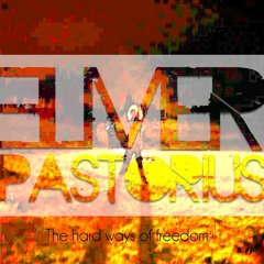 Elmer Pastorius - Goin Sayulita