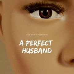 A Perfect Husband