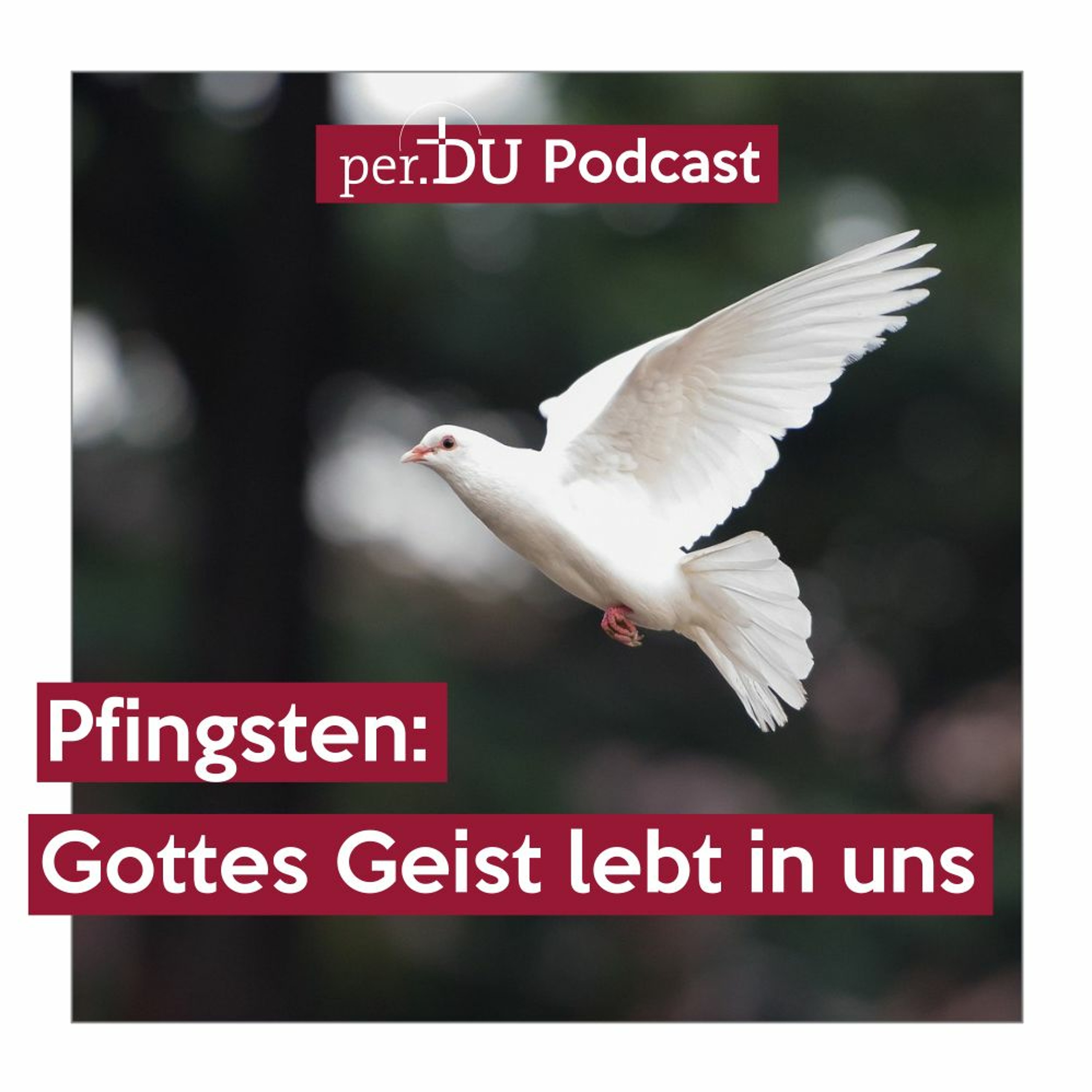 per.DU Podcast