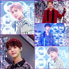 Twit - Produce X 101  멍청이