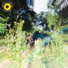 rex orange county - sunflower (cover)