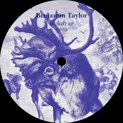 Benjamin Taylor - Gate (Original Mix)