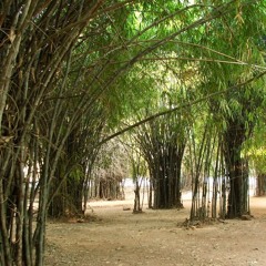 3. Bojjhanga Dehena - Jaya Pirith