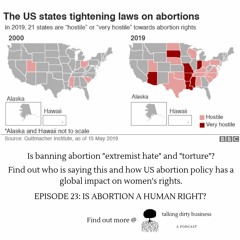 Episode 23: Is Abortion a Human Right?