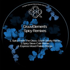 GruuvElement's - Spicy (Steve ColeRemix) MASTER