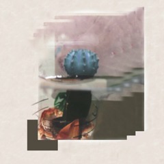 05. vanilla (album ver.)