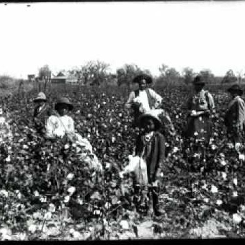 Listen to music albums featuring Hoe Emma Hoe by user646473518 online