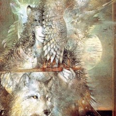 The Quest Within Native American Flute & Spanish Guitar