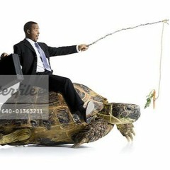 Turtle Song Persian Language (Earrape)