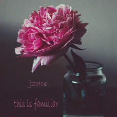 JZAce Lofi Hip Hop things