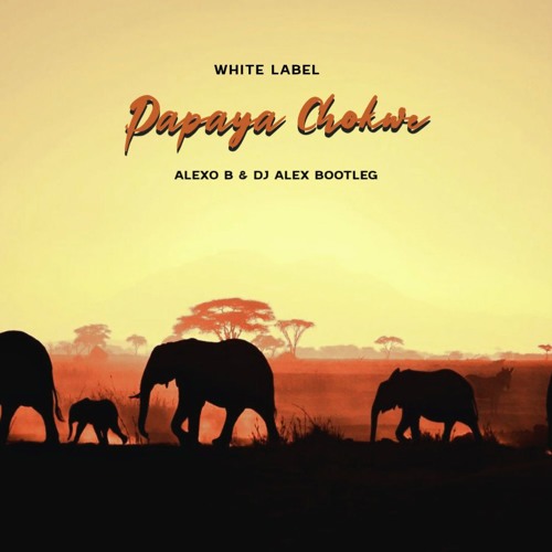 White Label - Papaya Chokwe (Alexo B & Dj Alex Bootleg)