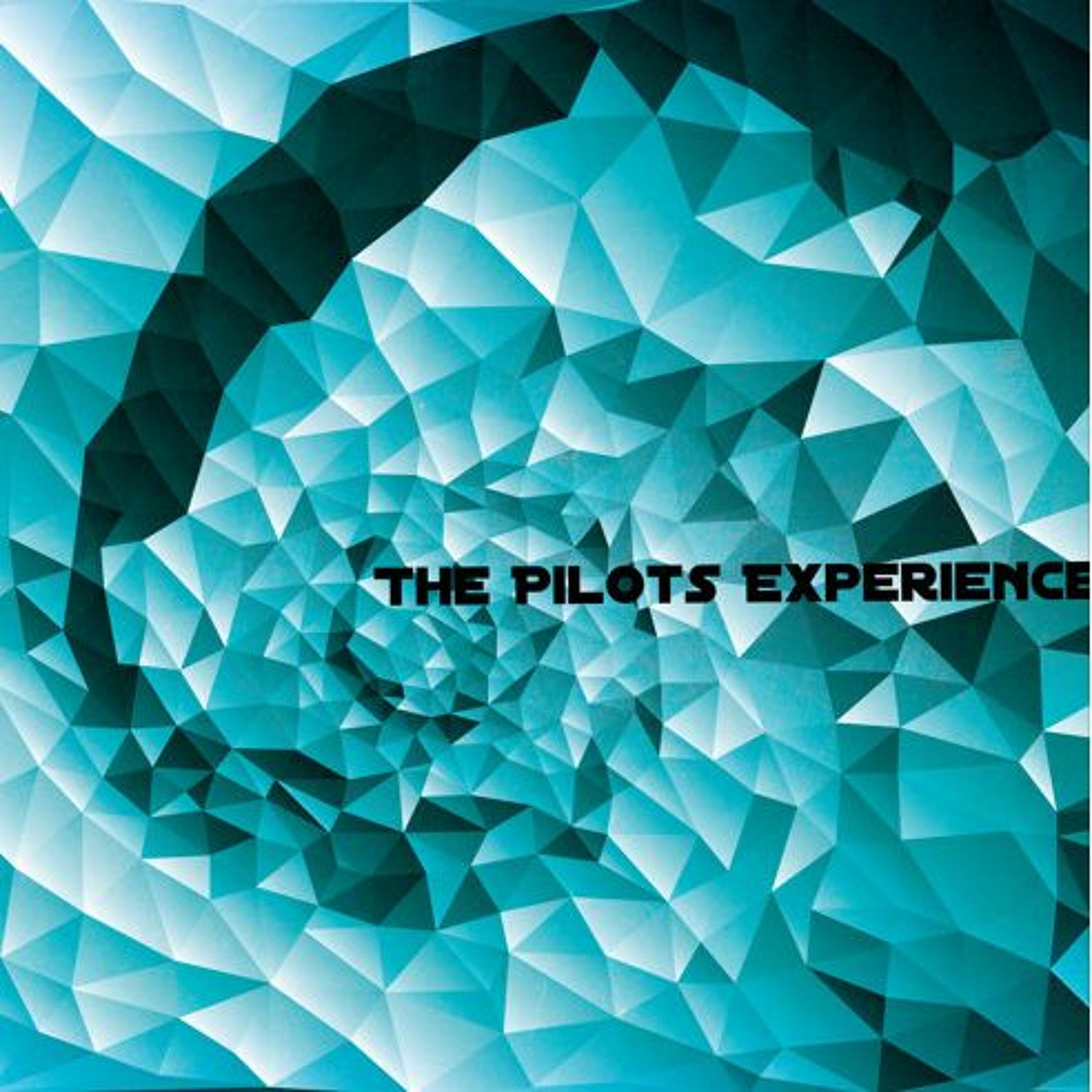 The Pilots Experience