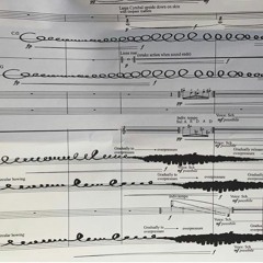 Identitetshandlingar i C-dur (performed by Norrköping symphony orchestra)