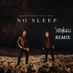 Martin Garrix - No Sleep  ft.Bonn (VITANGELI Remix)