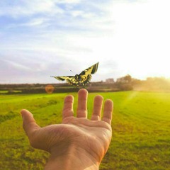 Tara Tiba - Omid.mp3