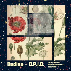 O.P.I.O. (beat.tvpe)