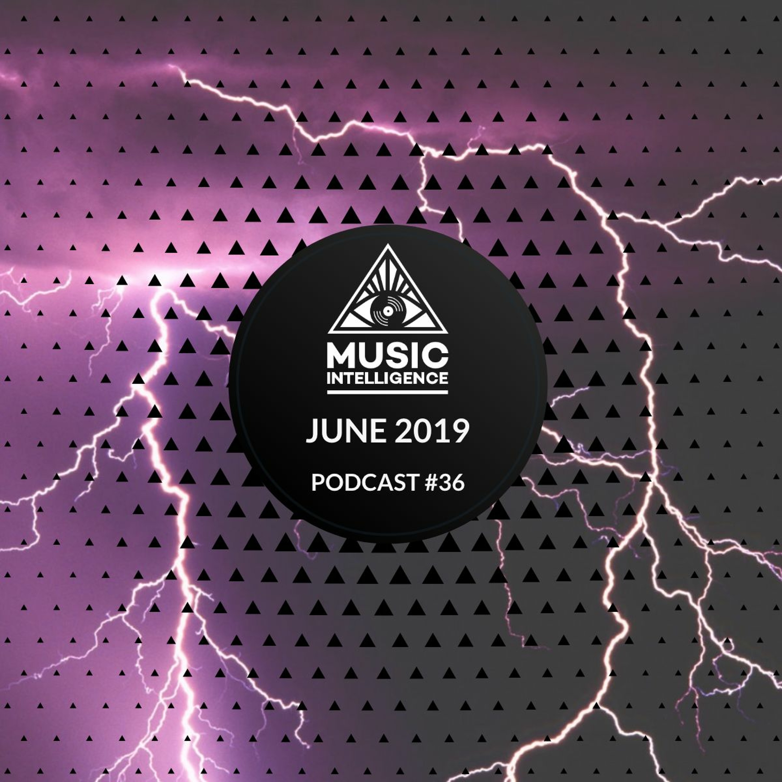 Music Intelligence Podcast