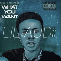 What You Want (Prodby.RiZZybprod)