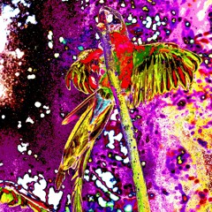 Jesus (prod. mykairen)