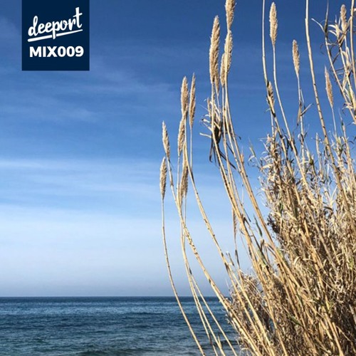 Deeport MIX009 - Guest Mix by Matija Duic (ASC, Cycle / Zagreb)