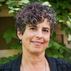 Public History with Professor Schechter