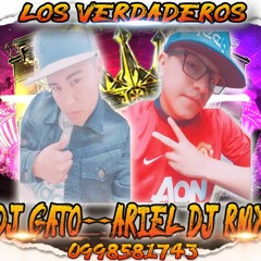 ☆☆LOS VERDADEROS☆☆CHICHA POWER 2☆☆ARIEL DJ RMX-DJ GATO☆☆