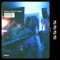 hintenlinksimzimmervibe04