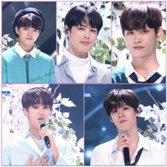 pdx 101