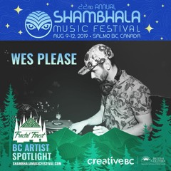 SHAMBHALA MUSIC FESTIVAL - FRACTAL FOREST - 2019 BC ARTIST SPOTLIGHT MIX