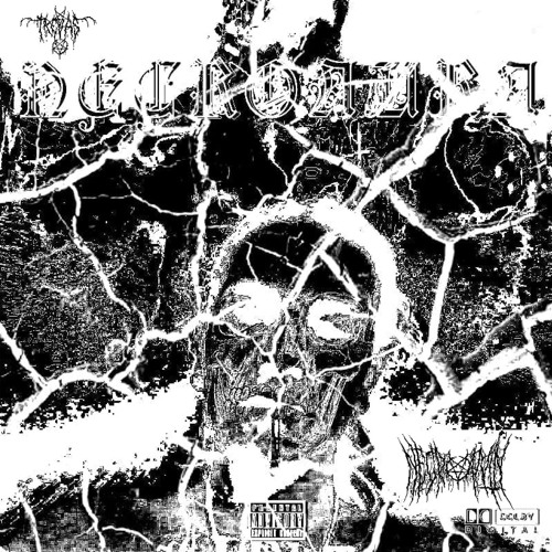 NecroAura [Prod.execvte]