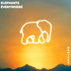 The Chainsmokers with 5 Seconds of Summer - Who Do You Love (Elephants Everywhere Remix)
