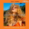 Katy Perry Never Really Over Adrian Lagunas Remix Download Mp3