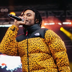 Playboi Carti x Pi'erre Bourne Type Beat - Cash Shit Pt. 2