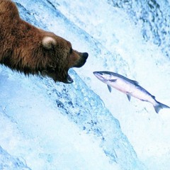 Nature is Medicine in Alaska