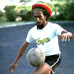 Damian Marley Welcome To Jamrock Acapella