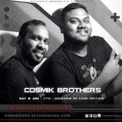 Cosmik Brothers_For the Love of Psy Music_Darkwood II_Vanaghotra