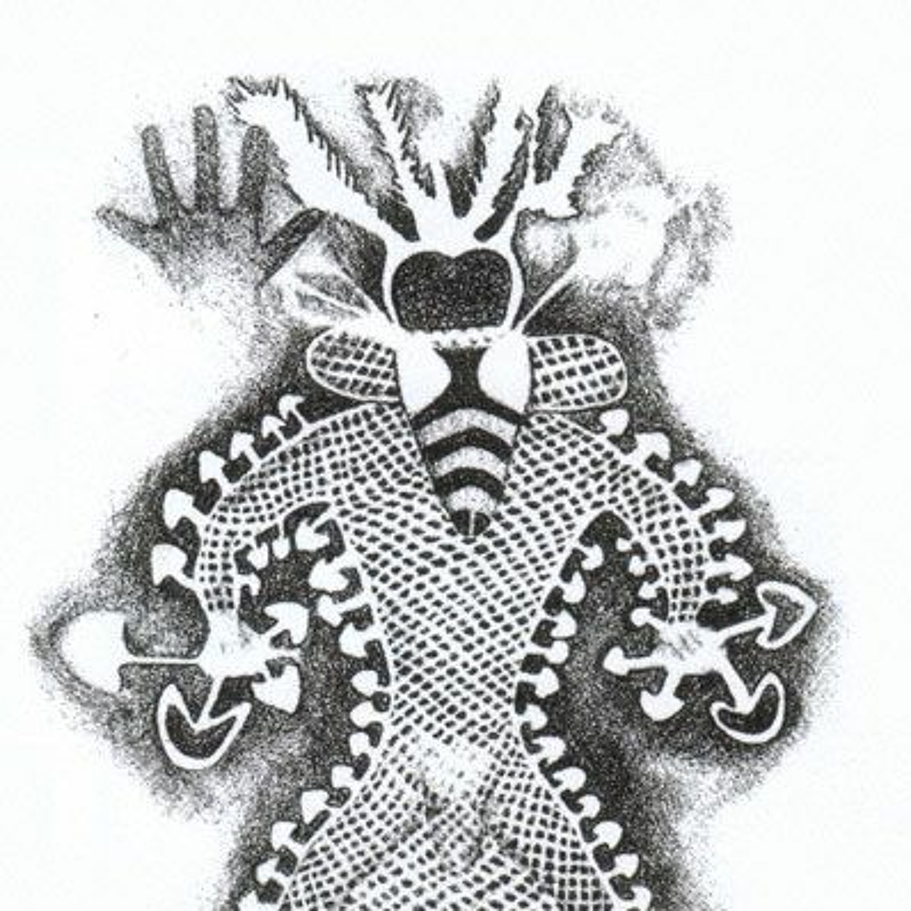 Ayahuasca Journeying and Shamanism